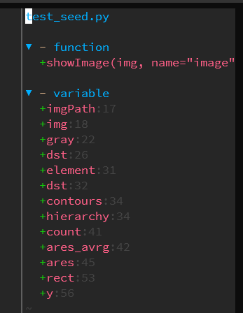 vim python vista