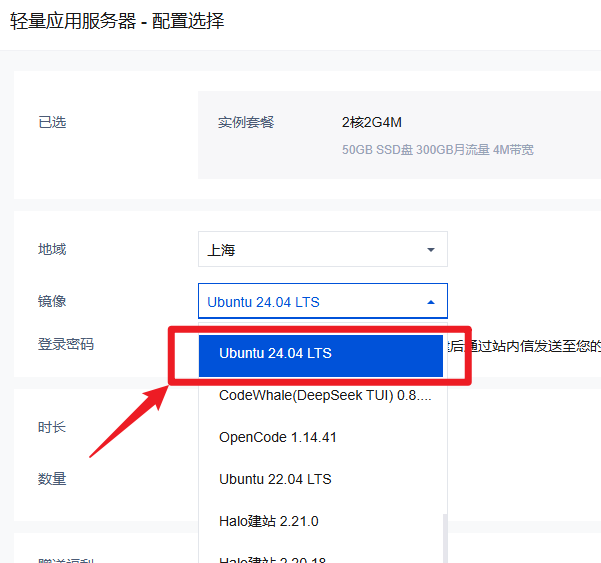 系统 Ubuntu 24.04 LTS