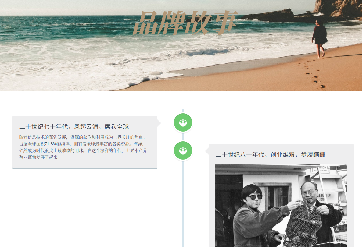 wordpress 时间线插件 Timeline Express